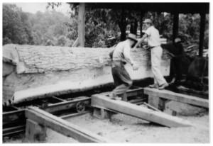 Burd Miller – Sawing Log